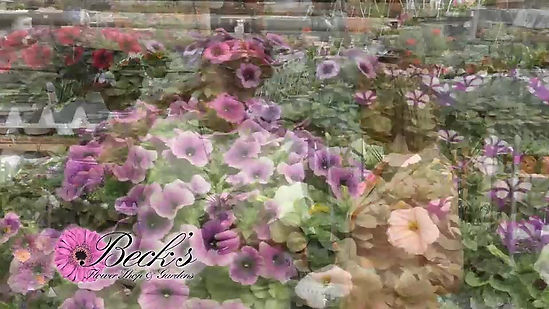Beck's Flower Shop
